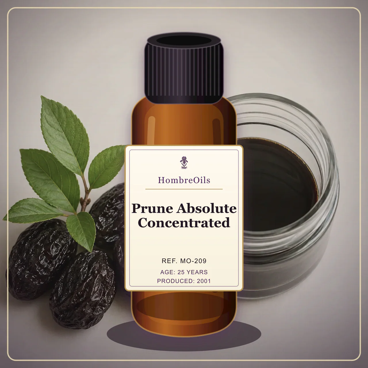 Prune Absolute Concentrated