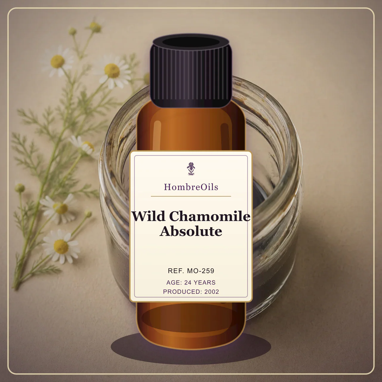 Wild Chamomile Absolute