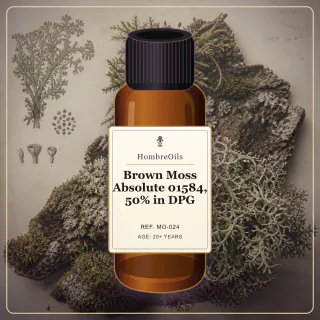 Brown Moss Absolute 01584, 50% in DPG · MO-024 · Front presentation