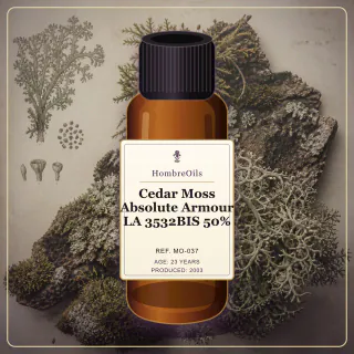 Cedar Moss Absolute Armour LA 3532BIS 50% · MO-037 · Front presentation