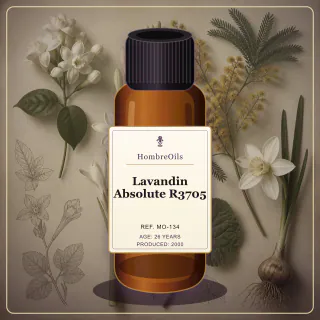 Lavandin Absolute R3705 · MO-134 · Front presentation