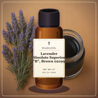 Lavender Absolute Superior "B", Brown 02199 · MO-137 · Front presentation