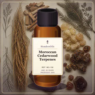Moroccan Cedarwood Terpenes · MO-158 · Front presentation