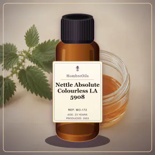 Nettle Absolute Colourless LA 5908 · MO-172 · Front presentation