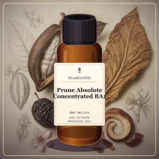 Prune Absolute Concentrated BA1 · MO-210 · Front presentation