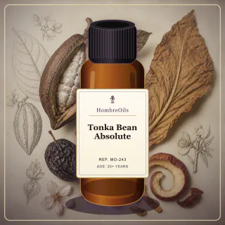 Tonka Bean Absolute · MO-243 · Front presentation